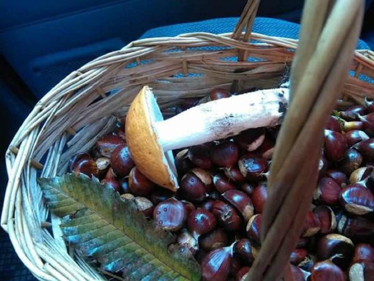 B&B Tulipano Crone Екстериор снимка